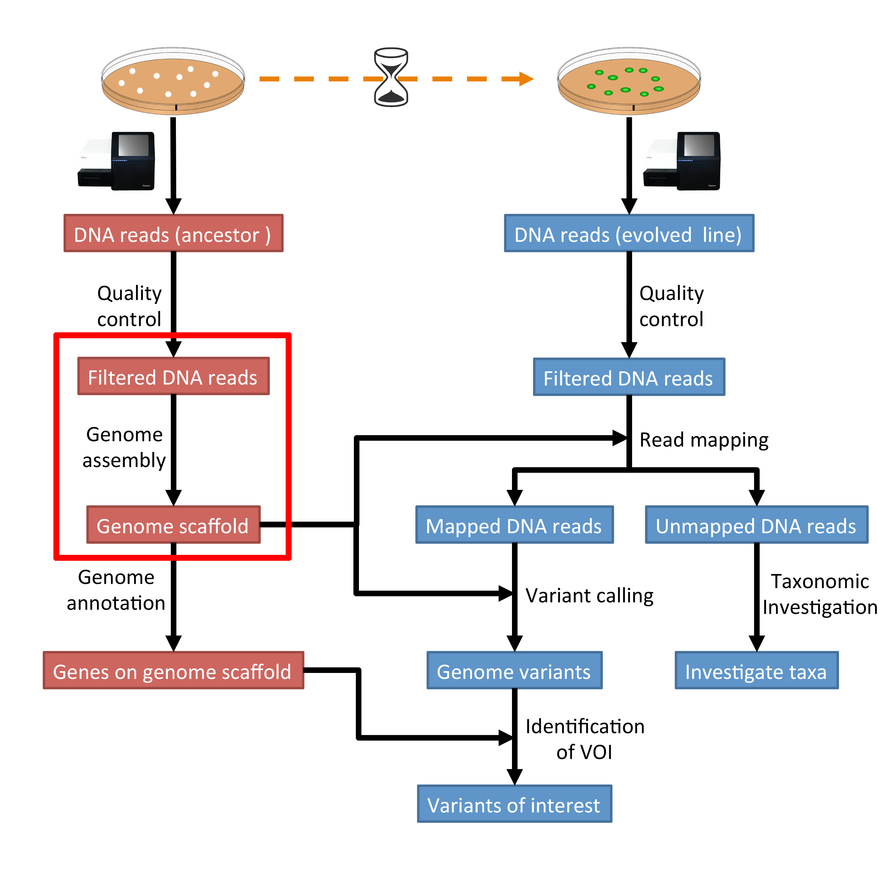../_images/workflow2.png
